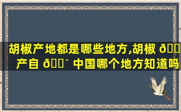 胡椒产地都是哪些地方,胡椒 🐎 产自 🐴 中国哪个地方知道吗